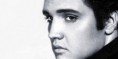 /album/bildgalleri-elvis/a2013-174-jpg/